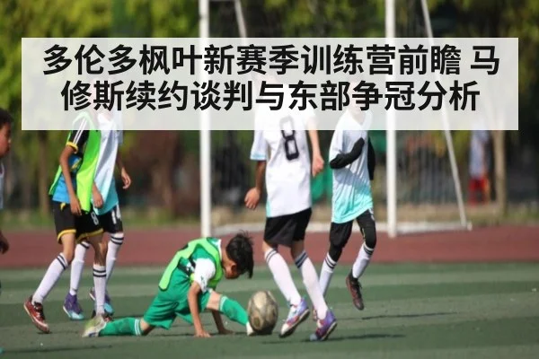 多伦多枫叶新赛季训练营前瞻 马修斯续约谈判与东部争冠分析